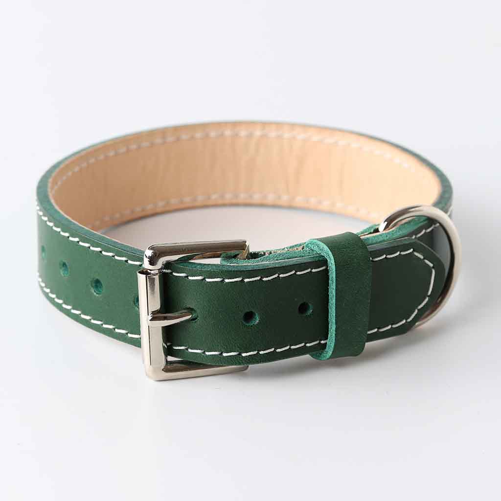green dog collar with padding by Kseta