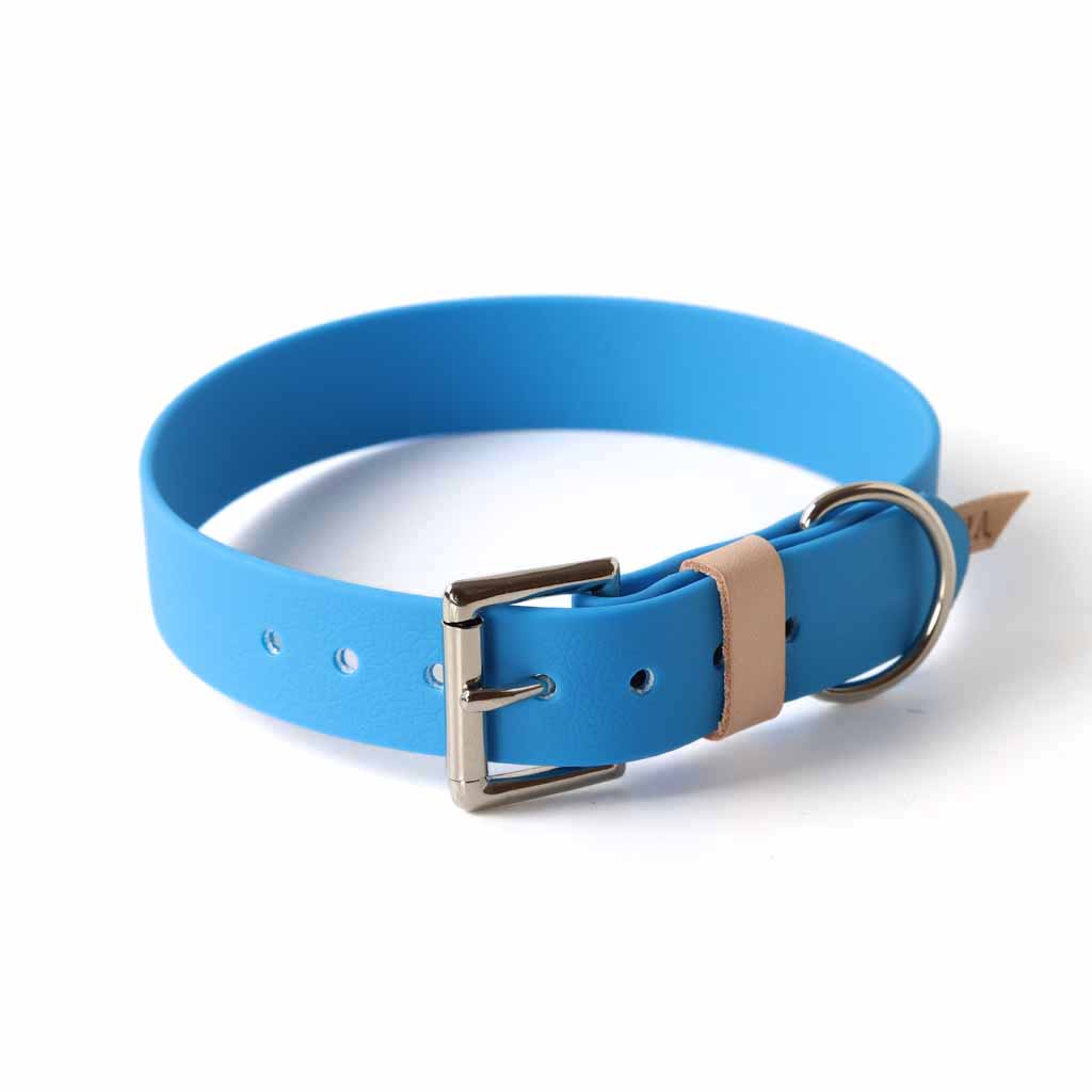 blue dog collar for puppies