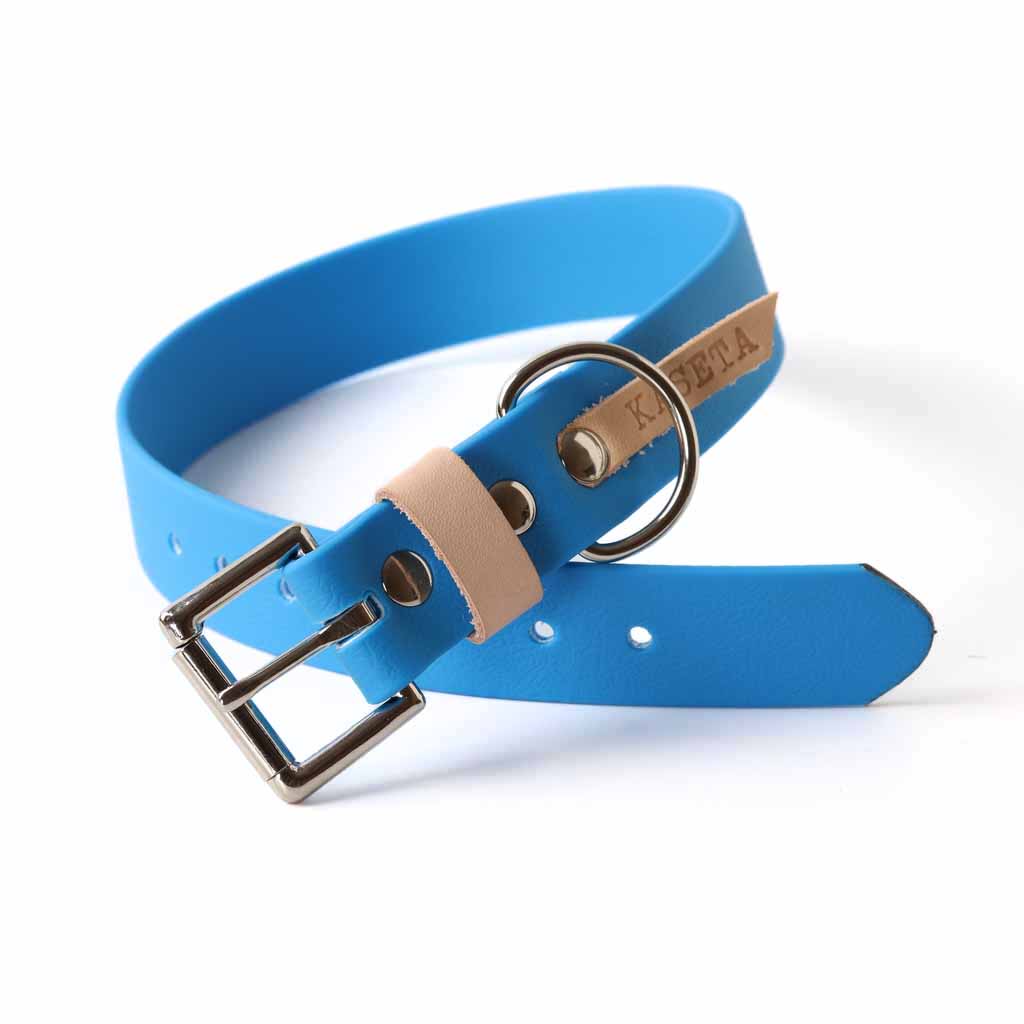 water safe blue dog collar