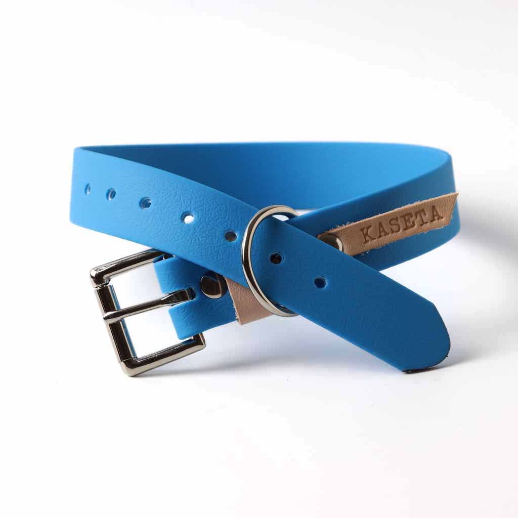 blue dog collar by Kaseta