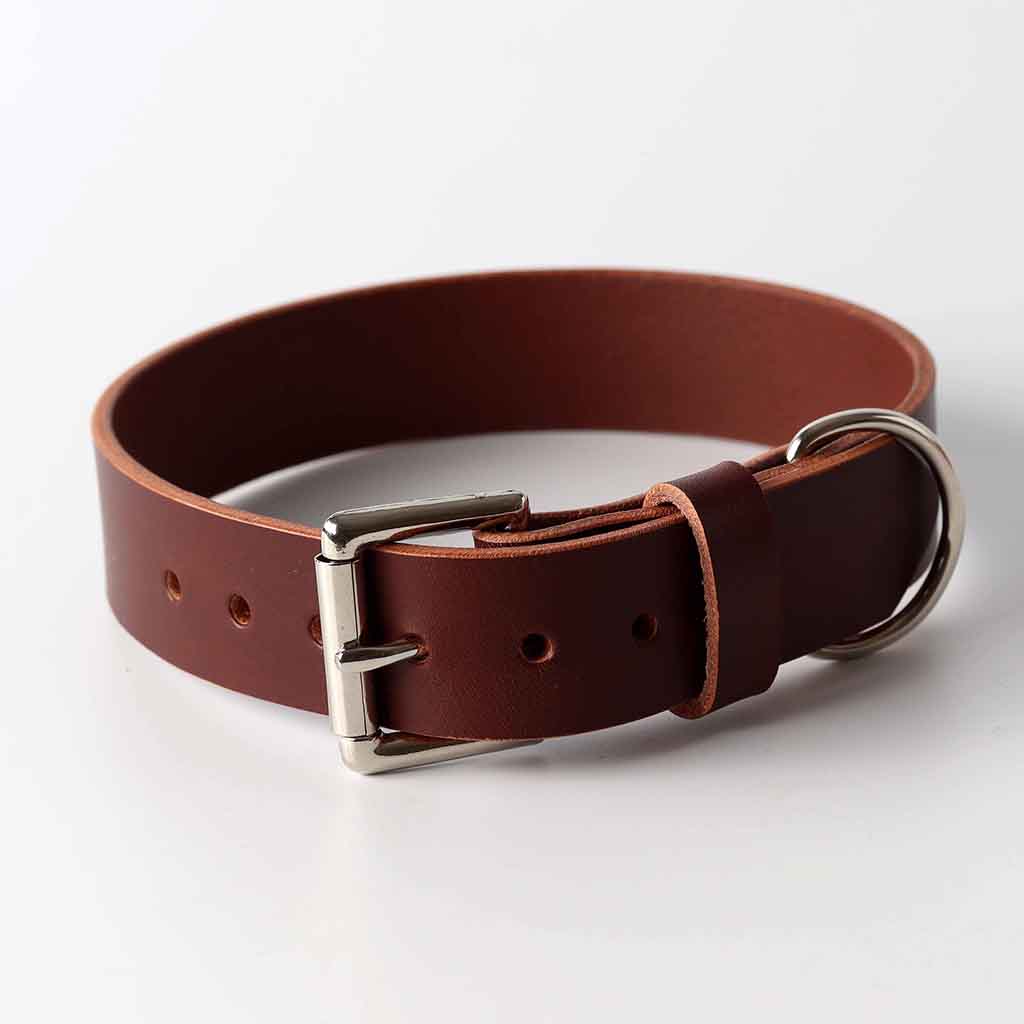 Bridle leather brown dog collar by Kaseta