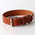 Bridle leather tan dog collar by Kaseta