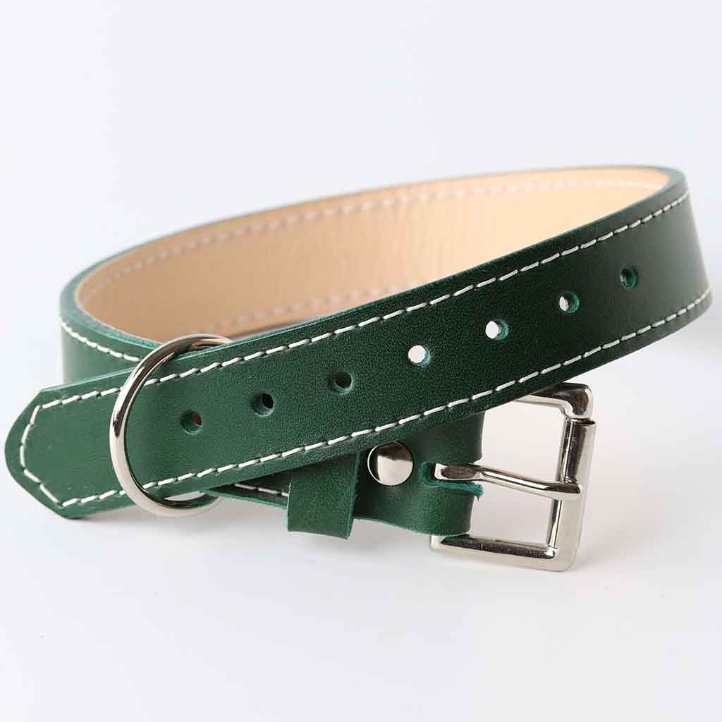 Padded leather green dog collar by Kseta