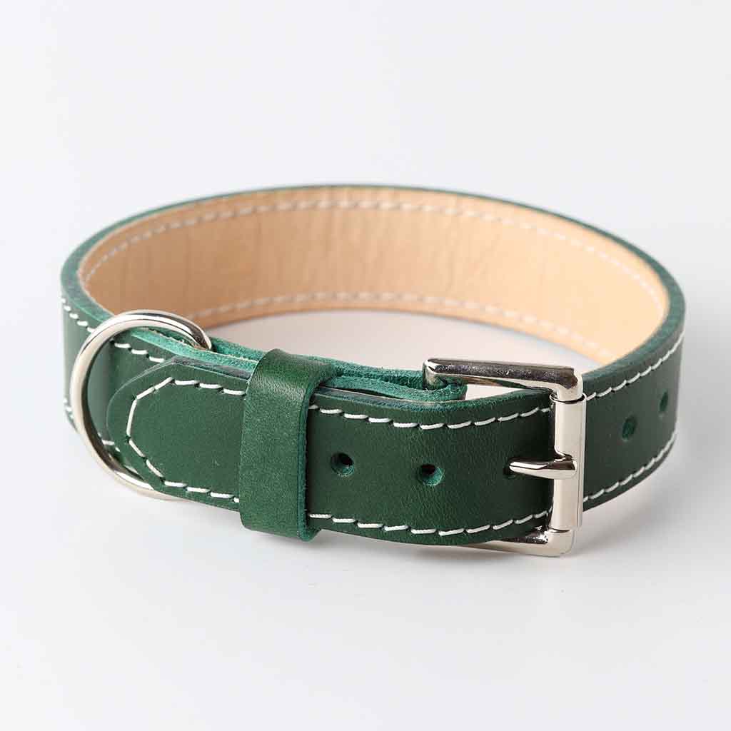 UK made green dog collar by Kaseta