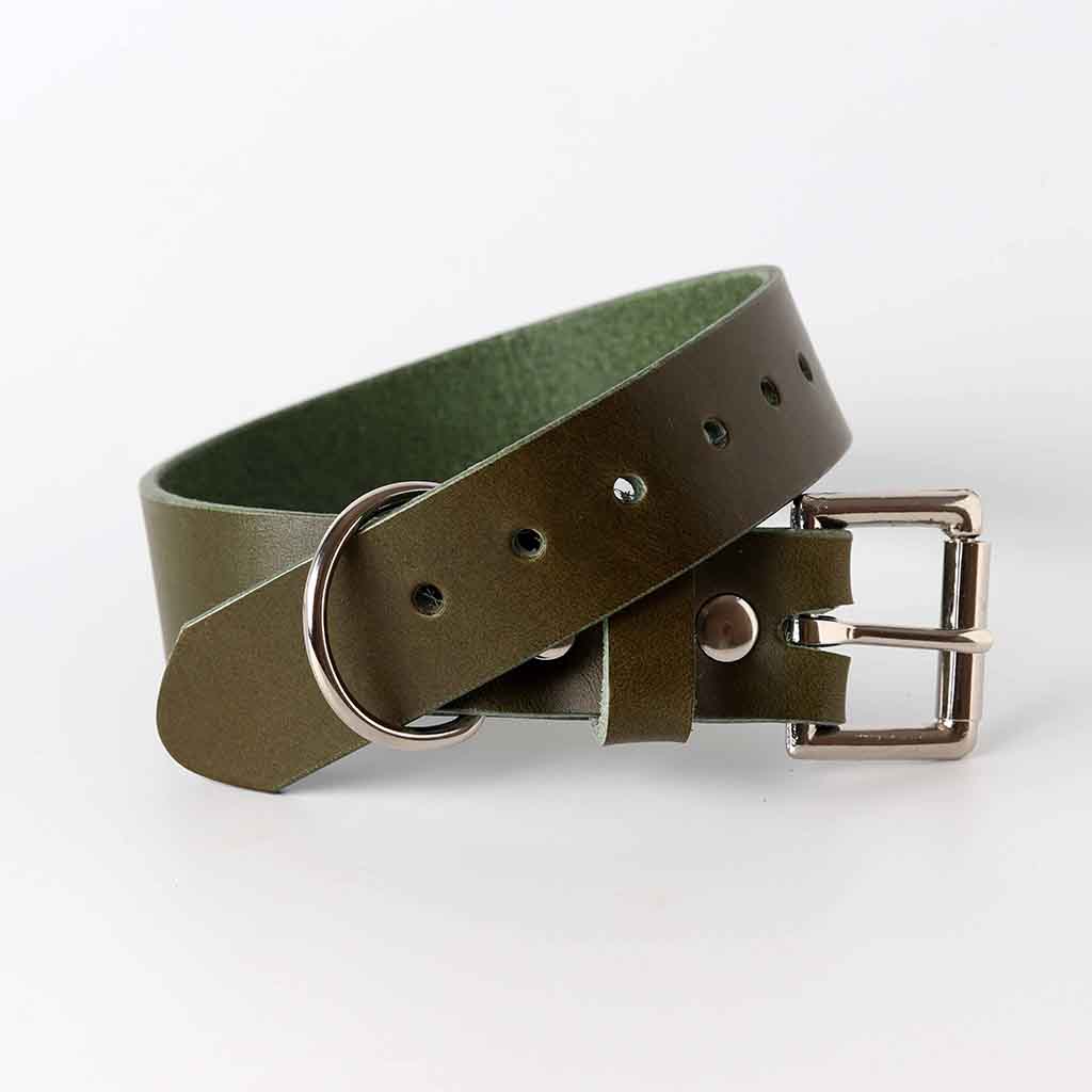 Olive Green dog collar by Kaseta
