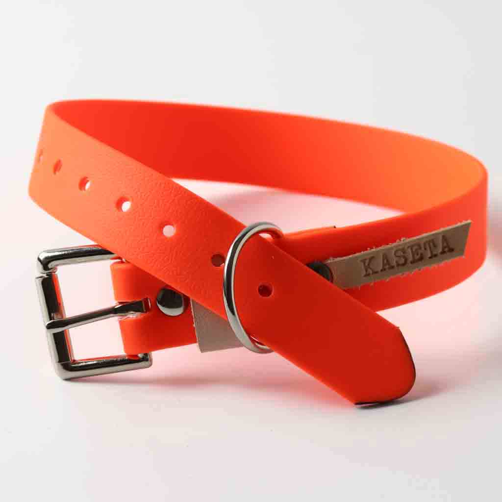 Waterpoof orange dog collar