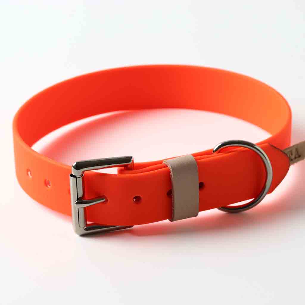 Orange dog collar waterproof antibacterial by Kaseta 