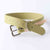 khaki non stretching dog collar