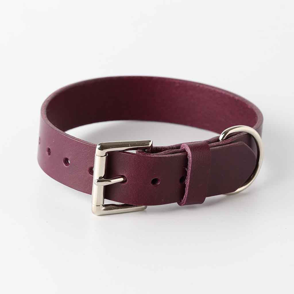 Italian leather purple puppy collar