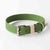 green dog collar by Kaseta