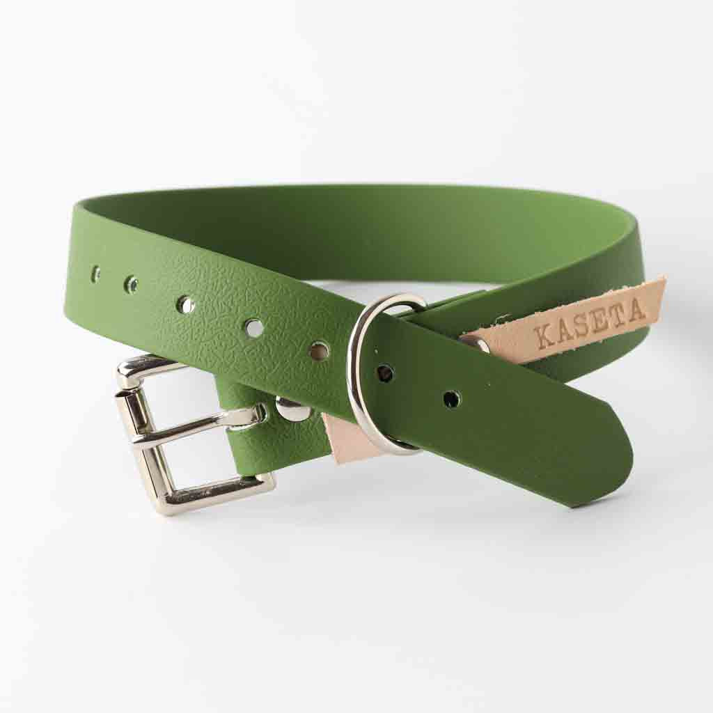 antibacterial, waterproof dog collar by Kaseta in Green