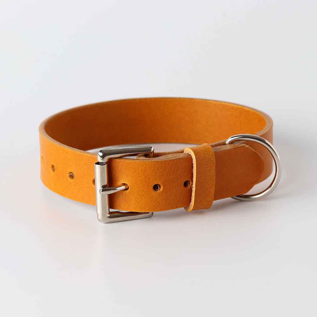 Italian leather yellow dog collar